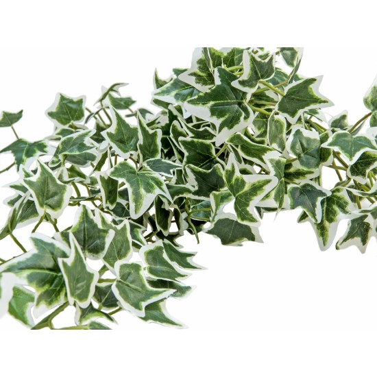 EUROPALMS Ramo di Edera Olandese Artificiale, 70 cm - Fogliame Realistico Verde/Bianco
