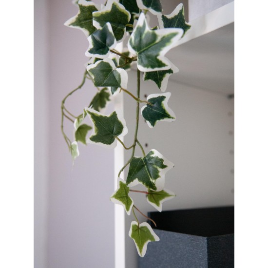 EUROPALMS Ramo di Edera Olandese Artificiale, 70 cm - Fogliame Realistico Verde/Bianco