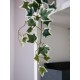 EUROPALMS Ramo di Edera Olandese Artificiale, 70 cm - Fogliame Realistico Verde/Bianco