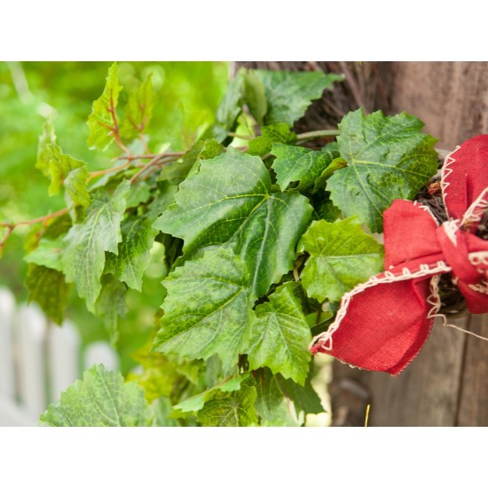 EUROPALMS Grape Bush Premium - Pianta Artificiale Malleabile 50cm per Uso Esterno