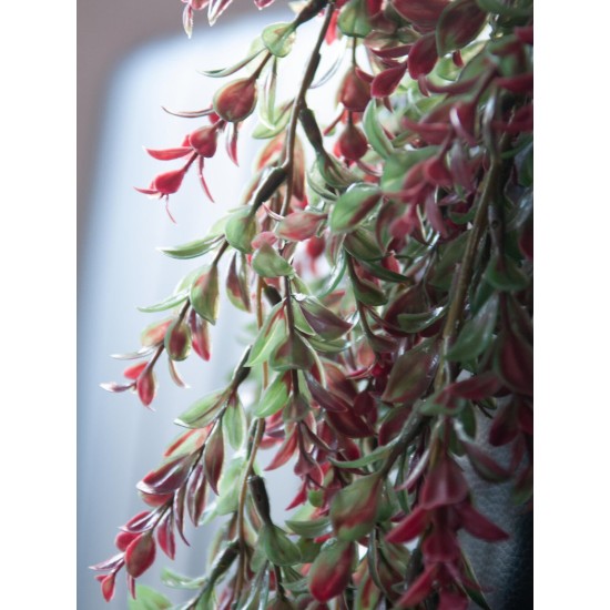 EUROPALMS Pianta Artificiale a Ciuffi, Verde-Rossa, 105 cm - Decorazione per Esterni