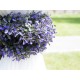 Ghirlanda di Lavanda Artificiale EUROPALMS, 180cm, Decorazione Esterni ed Interni