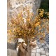 Spray Eucalyptus Artificiale EUROPALMS, Verde-Giallo, 110cm Decorazione per Esterni