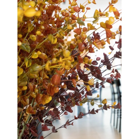 Spray Eucalyptus Artificiale EUROPALMS, Verde-Giallo, 110cm Decorazione per Esterni