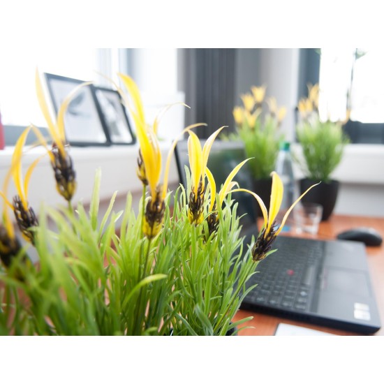 EUROPALMS Lattuga Artificiale 40 cm - Decorazione Verde per Esterni con Fiori Gialli