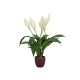 Pianta Artificiale EUROPALMS Lily Peace 49cm in Vaso Ceramico - Decorazione Interni/Esterni
