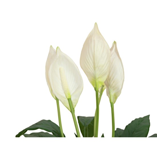 Pianta Artificiale EUROPALMS Lily Peace 49cm in Vaso Ceramico - Decorazione Interni/Esterni