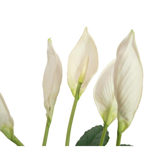 Pianta Artificiale EUROPALMS Lily Peace 49cm in Vaso Ceramico - Decorazione Interni/Esterni