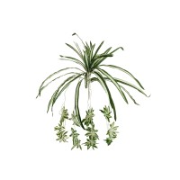 Pianta Artificiale EUROPALMS Spider 60cm - Realistica e Facile da Modellare