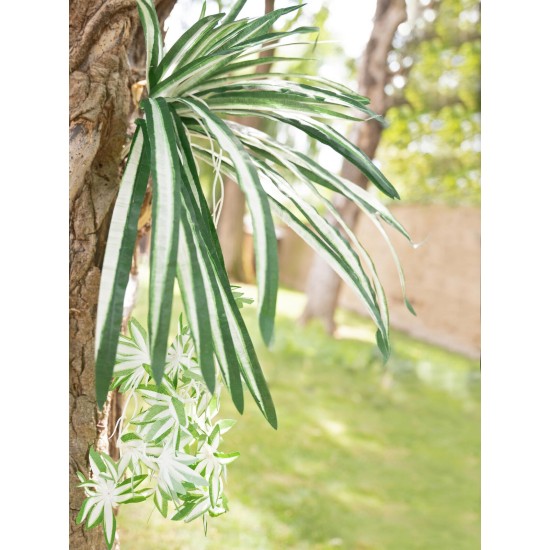 Pianta Artificiale EUROPALMS Spider 60cm - Realistica e Facile da Modellare
