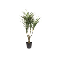 EUROPALMS Dracena Artificiale Verde-Rosso 90cm - Pianta Decorativa per Interni