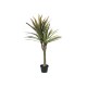 EUROPALMS Dracena Artificiale 120cm - Pianta Decorativa da Interno/Esterno