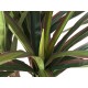 EUROPALMS Dracena Artificiale 120cm - Pianta Decorativa da Interno/Esterno