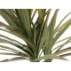 EUROPALMS Dracena Artificiale 120cm - Pianta Decorativa da Interno/Esterno