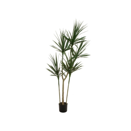EUROPALMS Dracaena Artificiale Verde 170cm - Elegante Pianta da Interno
