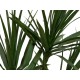 EUROPALMS Dracaena Artificiale Verde 170cm - Elegante Pianta da Interno