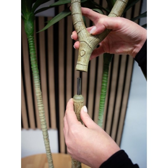 EUROPALMS Dracaena Artificiale Verde 170cm - Elegante Pianta da Interno