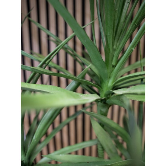 EUROPALMS Dracaena Artificiale Verde 170cm - Elegante Pianta da Interno