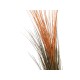 EUROPALMS Pianta Artificiale Reed Grass 127cm, Marrone Chiaro, Stile Foresta