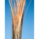 EUROPALMS Pianta Artificiale Reed Grass 127cm, Marrone Chiaro, Stile Foresta
