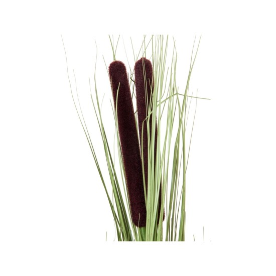 EUROPALMS Pianta Artificiale Reed Grass con Cattails, 152cm, Verde Chiaro