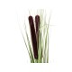 EUROPALMS Pianta Artificiale Reed Grass con Cattails, 152cm, Verde Chiaro