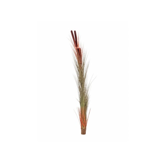 EUROPALMS Pianta Reed con Cattail, Decorativa, 152cm, Marrone Chiaro, Artificiale