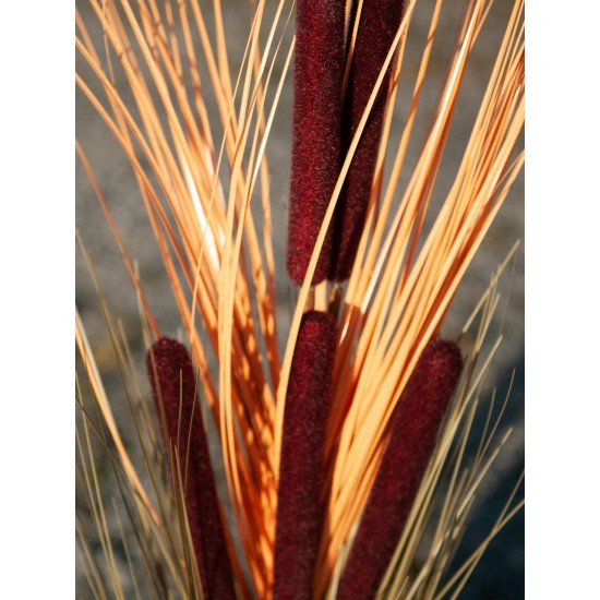 EUROPALMS Pianta Reed con Cattail, Decorativa, 152cm, Marrone Chiaro, Artificiale