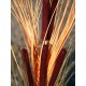 EUROPALMS Pianta Reed con Cattail, Decorativa, 152cm, Marrone Chiaro, Artificiale