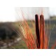 EUROPALMS Pianta Reed con Cattail, Decorativa, 152cm, Marrone Chiaro, Artificiale