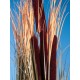 EUROPALMS Pianta Reed con Cattail, Decorativa, 152cm, Marrone Chiaro, Artificiale