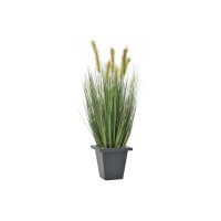 EUROPALMS Pianta Artificiale in Vaso, 60cm - Moor-grass Decorativo per Interni