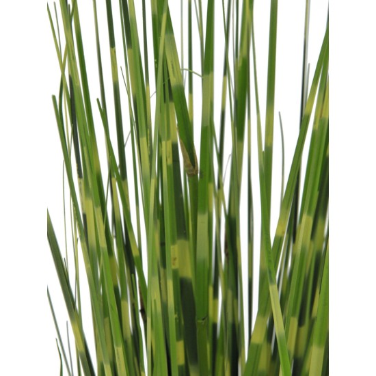 EUROPALMS Zebra Grass Artificiale 90cm - Realistico e Facile da Posizionare