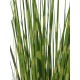 EUROPALMS Zebra Grass Artificiale 90cm - Realistico e Facile da Posizionare