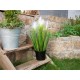 Erba Decorativa EUROPALMS in Piuma Bianca, 60cm - Effetto Naturale, Vaso Moderno