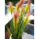 EUROPALMS Feather Grass Artificiale 90cm Rosé con Fiori Rosa Chiaro