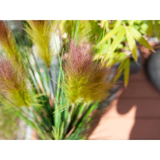 EUROPALMS Feather Grass Artificiale 90cm Rosé con Fiori Rosa Chiaro