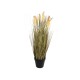 EUROPALMS Spiga di Grano Artificiale 60cm - Decorazione Autunnale per Vetrine e Outdoor