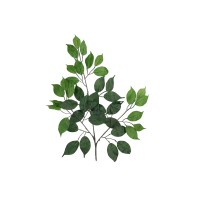 Ramo di Fico Beniamino Artificiale EUROPALMS - Decorazione Verde Realistica, 12 Pezzi