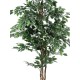 EUROPALMS Fico d'Argento Beniamino 180 cm - Pianta Artificiale Realistica con Tronco Naturale