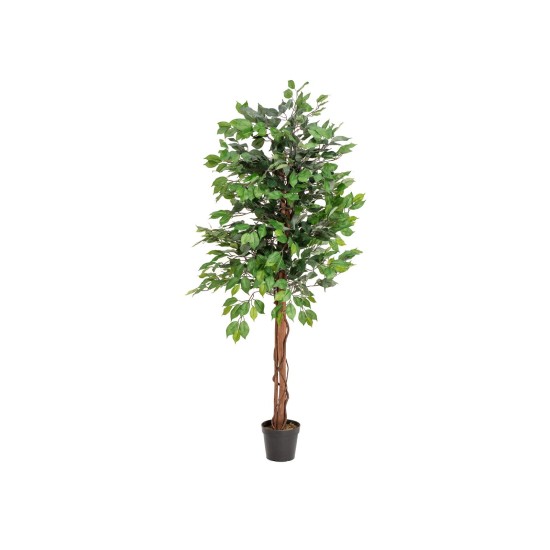 Pianta Artificiale EUROPALMS Fico Beniamino Multi-Tronco 150 cm - Decorazione di Qualità