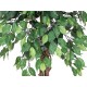 Ficus Benjamini Multi-Tronco Europalms, Pianta Artificiale Alta 180 cm con Foglie Lifelike