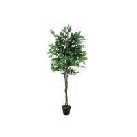 EUROPALMS Ficus Benjamini Multi-Tronco 210 cm - Pianta Artificiale di Alta Qualità