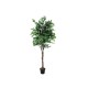 EUROPALMS Ficus Benjamini Multi-Tronco 210 cm - Pianta Artificiale di Alta Qualità