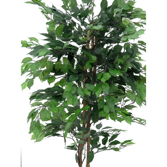 EUROPALMS Ficus Benjamini Multi-Tronco 210 cm - Pianta Artificiale di Alta Qualità