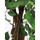 EUROPALMS Ficus Benjamini Multi-Tronco 210 cm - Pianta Artificiale di Alta Qualità