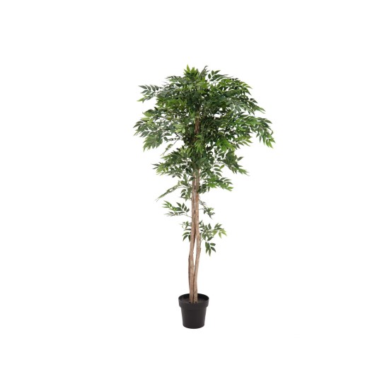 EUROPALMS Pianta Artificiale Fico Longifolia 165 cm - Realistica con Tronco Naturale e Foglie Verdi