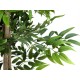 EUROPALMS Pianta Artificiale Fico Longifolia 165 cm - Realistica con Tronco Naturale e Foglie Verdi