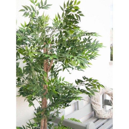 EUROPALMS Pianta Artificiale Fico Longifolia 165 cm - Realistica con Tronco Naturale e Foglie Verdi