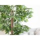 EUROPALMS Pianta Artificiale Fico Longifolia 165 cm - Realistica con Tronco Naturale e Foglie Verdi